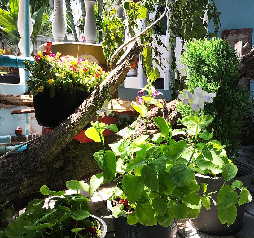 Sira'S House Hotel Bangkok Ngoại thất bức ảnh